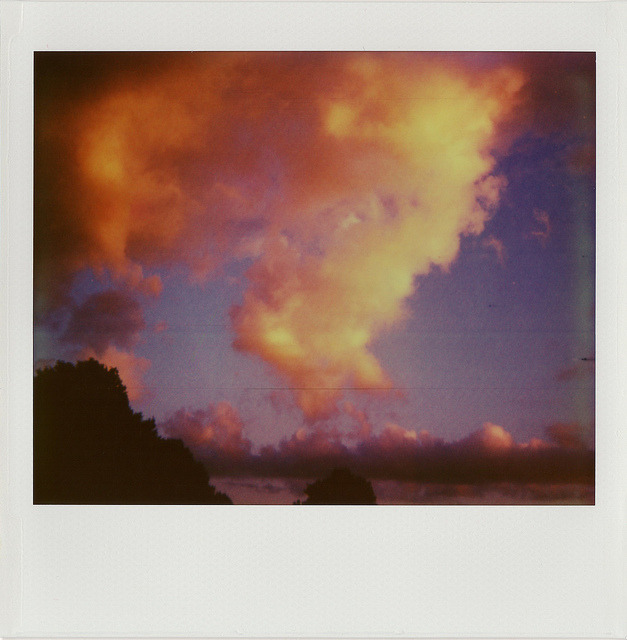 Nature gives wonders by Joep Polaroid Photography on Flickr.