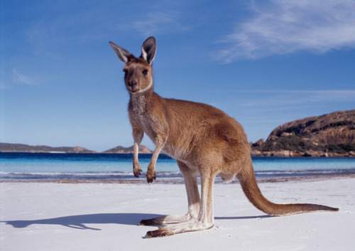 Just for fun, I decided to search the names of a few countries in Google Images. These are the first images which showed up which weren't maps or flags.