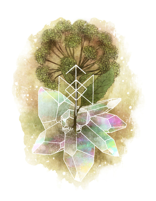 New Year’s botanical bind rune - Covering all the bases to keep 2019 in check with angelica archange