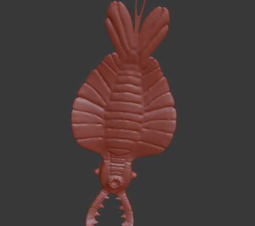 banjomaster64:I 3D modeled and sculpted an Anomalocaris (early to mid Cambrian period) because of a 
