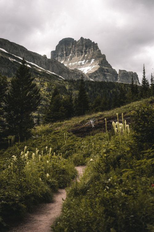 Untitled by Kendall Plant  Trail to Iceberg Lake Glacier National Park Instagram | Website | So