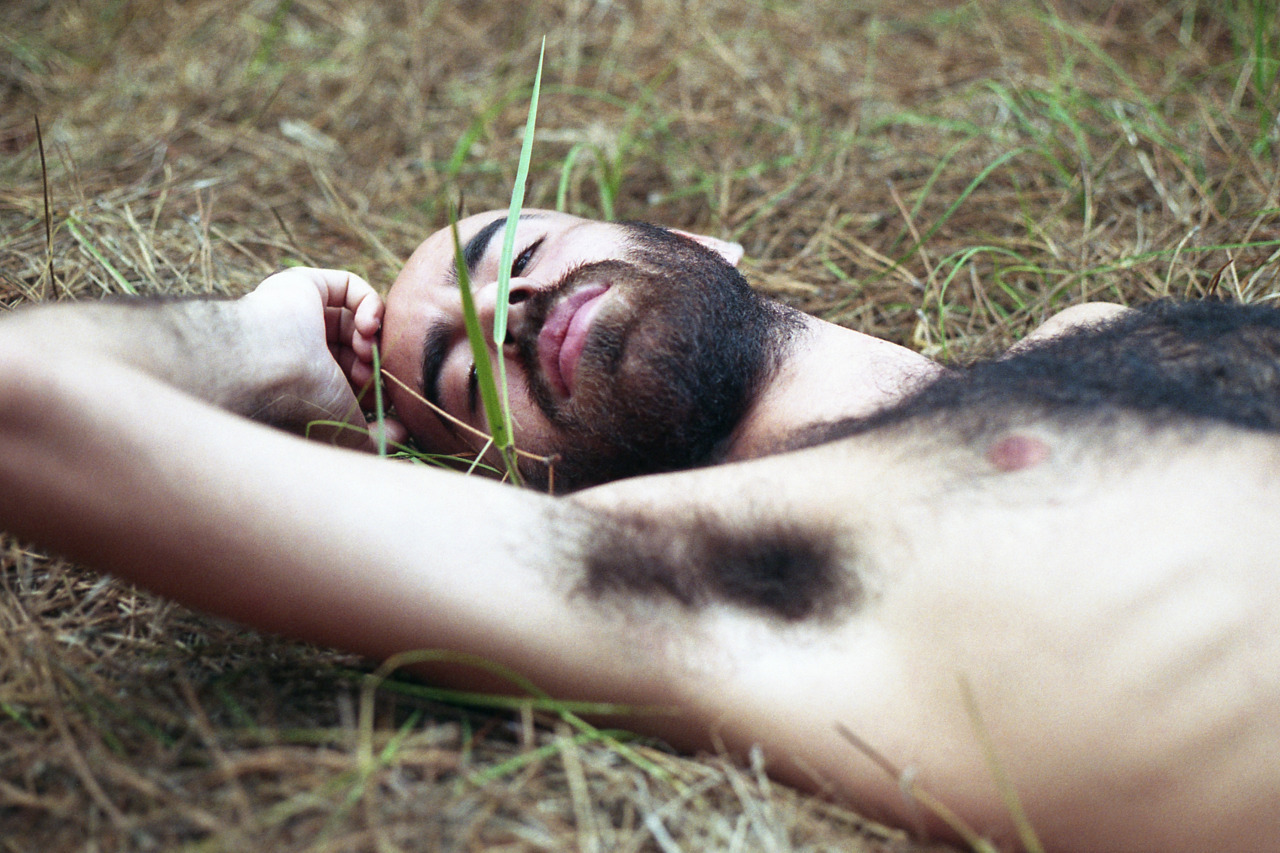 bastyg:  testostoron des tages 