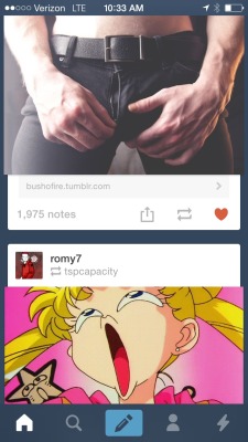 monkeysaysficus:  sightincolor:  So my tumblr did a thing hahaha!  Sailor Moon knows what’s up