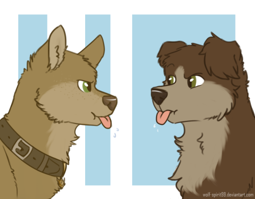 melisamod: Dean and Sammy for the awesome spndogs I totally love this blog!  EEEEEEEEEEEEE