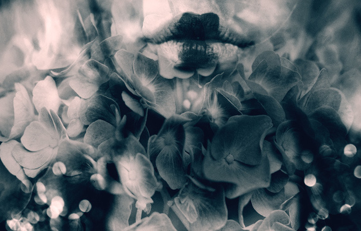 asylum-art:  Peetic Double Exposure of Flowers by Lara Kiosses The artist Lara Kiosses