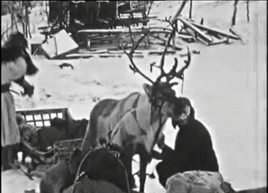 Pictures of Laplanders in the 1940′s. A perfect example of indigenous Europeans.