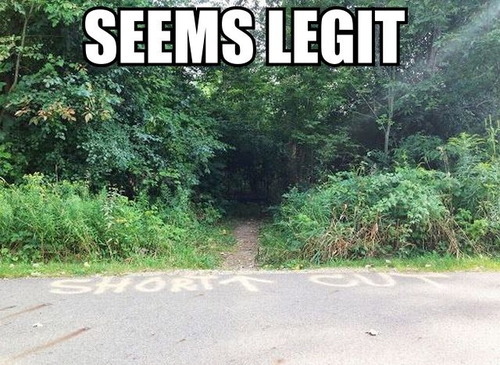 srsfunny:  Tempting shortcut…http://srsfunny.tumblr.com/ 