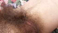 smolderingphoenix:  A bee flew into my bush