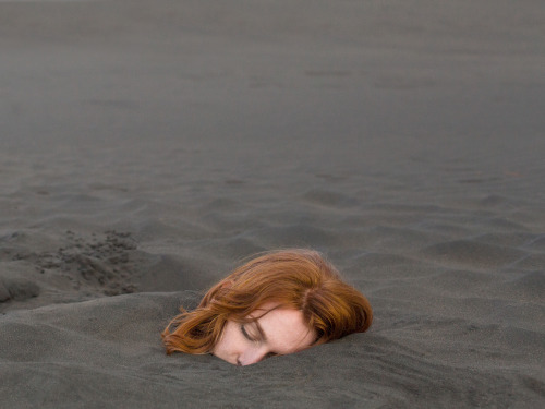 benzank:  Ben Zank, 2015