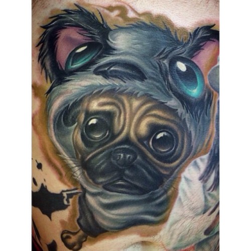 ilovepugs4ever:  Follow Dog Quotes.