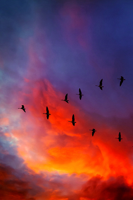 imalikshake:     imalikshake:source        