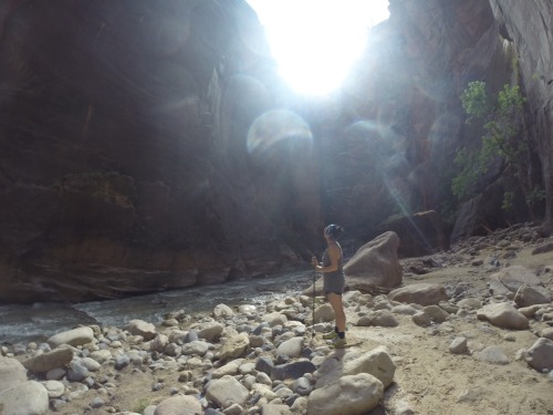 Zion National Park Part II Yesterday we woke up early and hiked The Narrows. Which was probably the 
