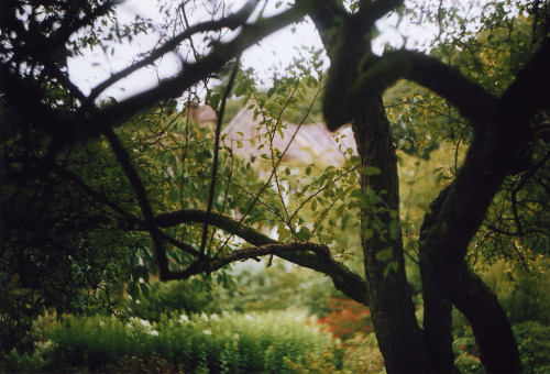 jacindaelena:by  Sarah Longworth