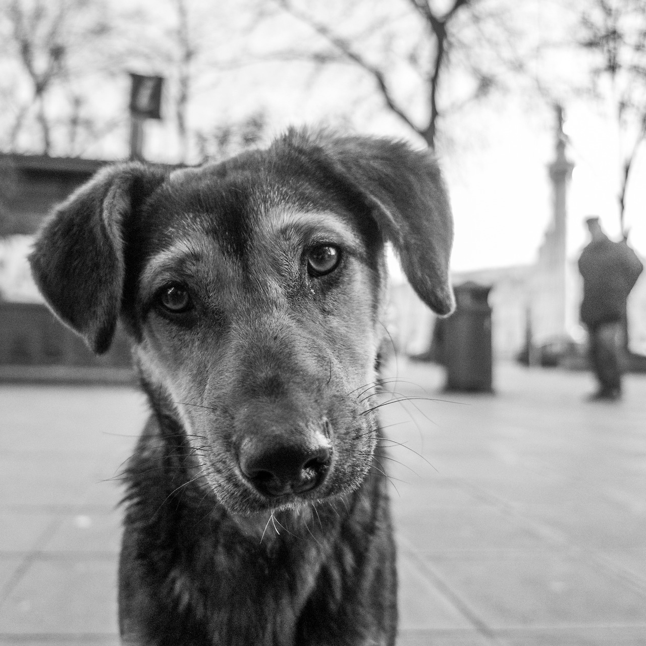 tbilisi-5-tumblr-gallery
