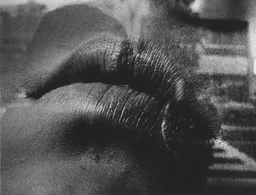 Porn Pics grigiabot:Daido Moriyama