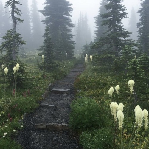 Dark Mystical Fantasy World