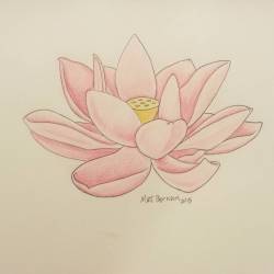 Put color in the lotus. #flowers #lotus #ink