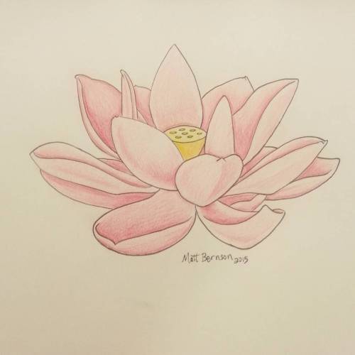 Put color in the lotus. #flowers #lotus #ink #drawing #art #copic  #artofinstagram #artistsoninstagram #artistsontumblr #coloredpencil  (at Empire Tattoo Quincy)