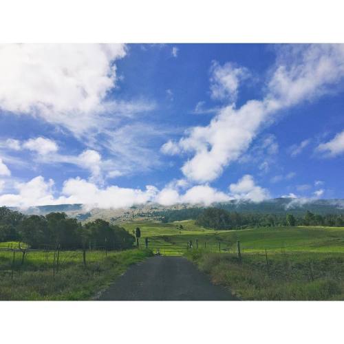 Pretty Kula morning. #kula #maui #hawaii #upcountry #alohafriday #aloha