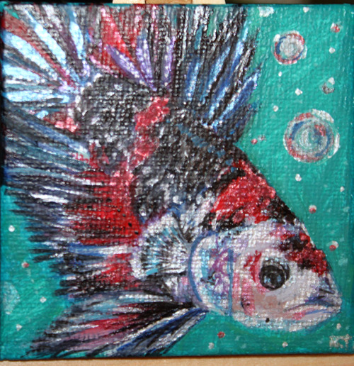 Finished a commission! A mini fish portrait for a member of a betta forum! Can’t wait to get t