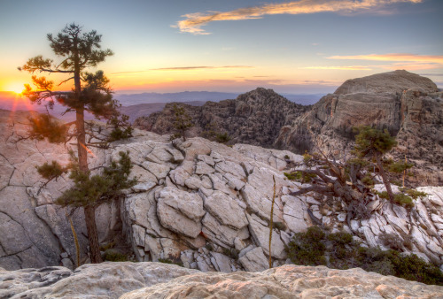 mypubliclands:  Ending the day with new photos of Red Rock Canyon National Conservation Area and wilderness within the stunning desert landscape – by Bob Wick, BLM.  The grey limestone of the La Madre Peaks Wilderness contrasts beautifully with the