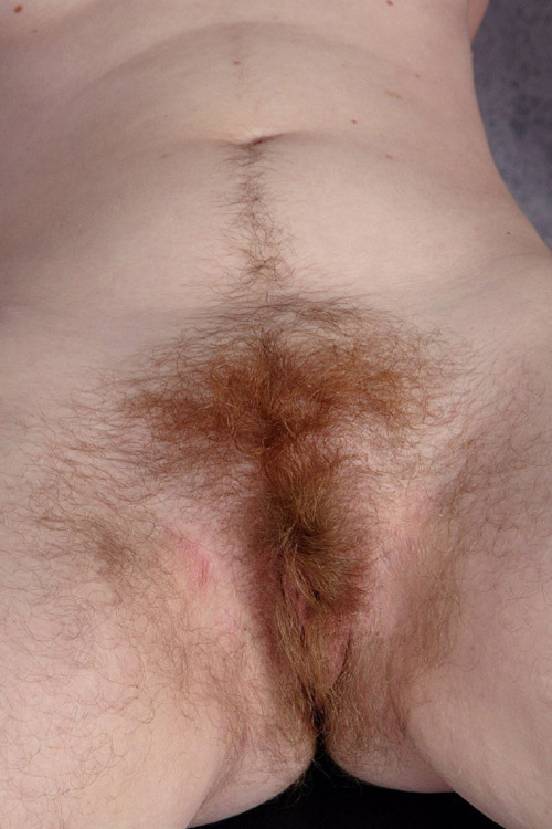 superhirsuteandbushychicks:  Heather with the treasure trail continued 