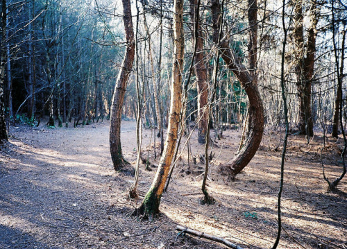 fiskarna:  untitled by long may she rain ☂ on Flickr. 
