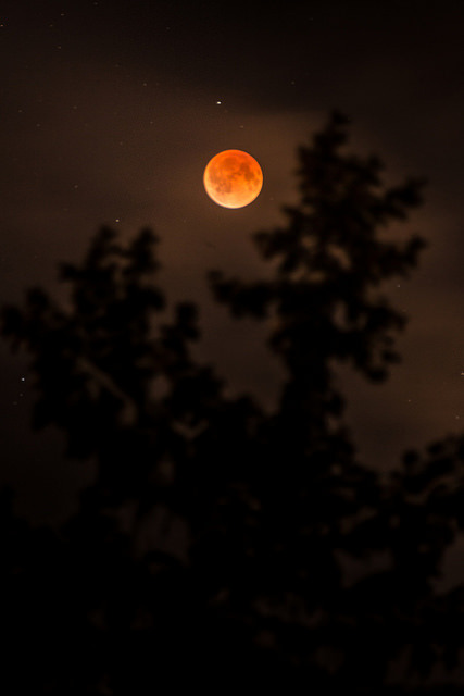 ancientdelirium:  Worth Getting up by Kevin Rodde on Flickr. 
