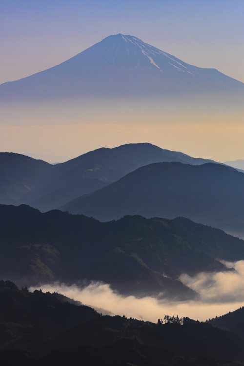 stayfr-sh:  Fuji 