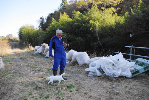 The Radioactive Man Who Returned To Fukushima adult photos