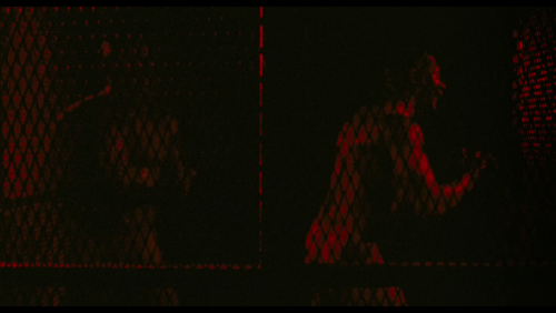 Double Exposure Director of Photography: Larry SmithBronson dir. Nicolas Winding Refn