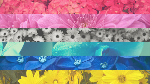 eat-sleep-and-race:I made some flags out of flowers after a friend showed me a really great Asexual flag in the same style. so this is my image set. Enjoy and feel free to use them as your wallpaper if you like but if you want to use them elsewhere please