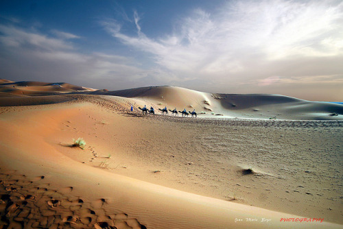 Maroc - مغربي - Dunes de Merzouga by jmboyer on Flickr.