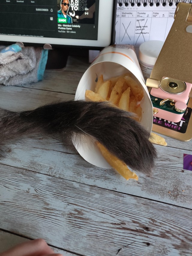 catasters: