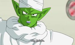 thebigmick284:  Poor Piccolo…