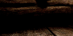 ashtonxrwins:  how to train your dragon requested by friendlythestral