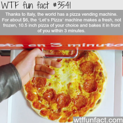 wtf-fun-factss:   The world first pizza vending