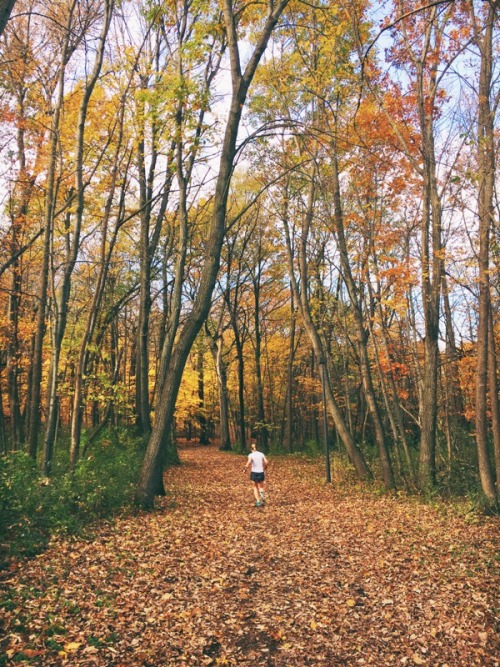 kiara-shannon: Literally so much good fall running here in MN.