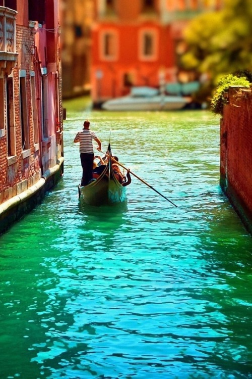 everythingandsome:  Venice 