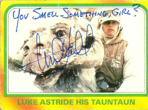 martyrized:  wookieekisses:  jady2007:  https://www.facebook.com/itsmarkhamillMark Hamill autographs  Mark Hamill is awesome  Mark Hamill is a gift. 