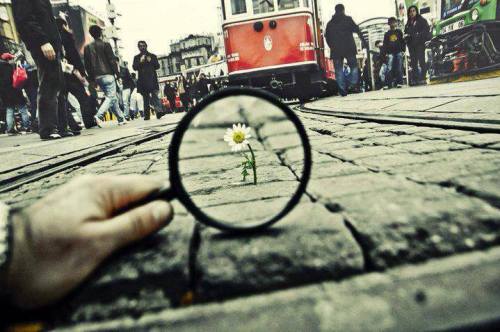 hippieseurope:  ☮❤☮❤ 