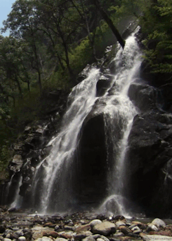 Lori-Rocks:  After The Rains 