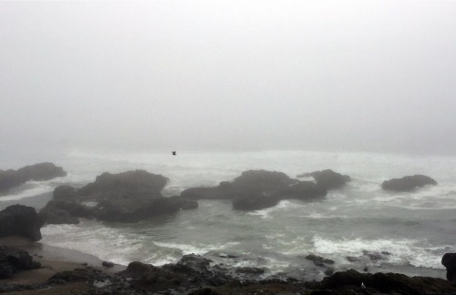 russell-tomlin:Traveller Before the Fog