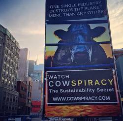 mercyforanimals:  Cowspiracy is now streaming for FREE on Netflix! If you haven’t seen it already, this film will change your life!