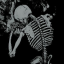 chrysanthemumzinurbones