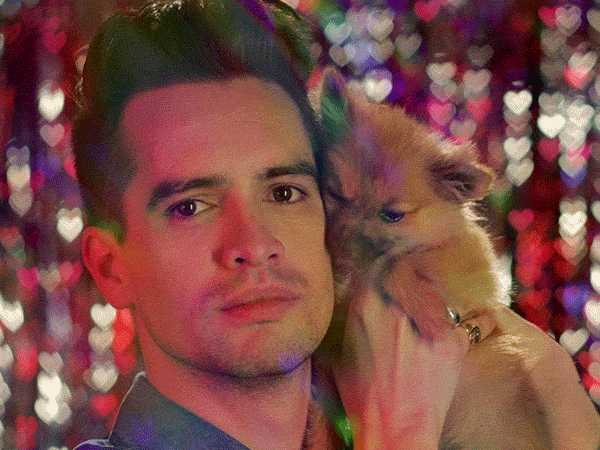 brendonuriesource:  Brendon’s new gifs by GiphyPop.  