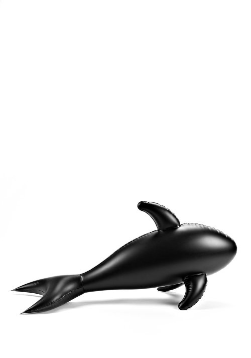 Alexander Wang inflatable pool shark