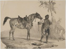 philamuseum:    Happy birthday to Théodore Géricault, born on this day in 1791. This is one of his several works depicting horses, which he loved to draw since he was a young boy. “La fiancée d'Abydos,” 1823, by Théodore Géricault 