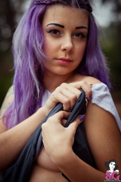 The-Beautiful-Plum-suicide