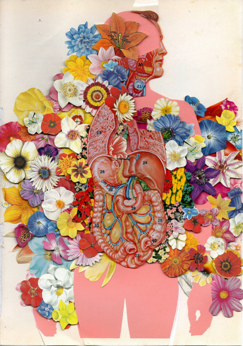 devidsketchbook: ANATOMICAL COLLAGE BY BEN GILES UK, Kingston-based artist Ben Giles (Tumblr&nb
